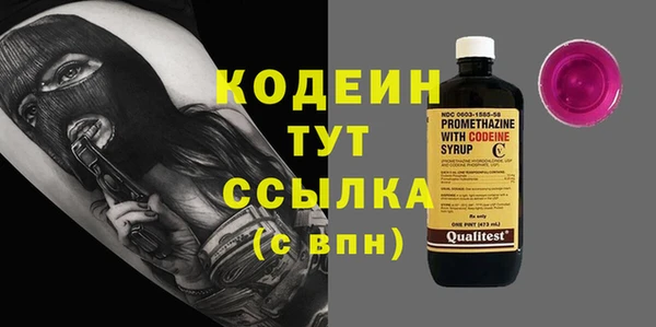 гашик Инта
